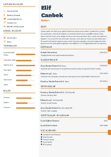 Bakıcı Cv Örnekleri cv indir